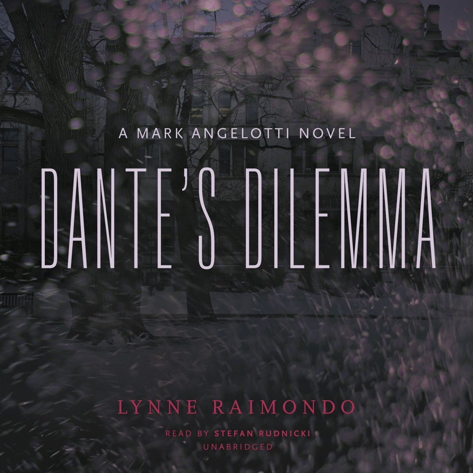 Dante S Dilemma A Mark Angelotti Novel 3 Skyboat Media